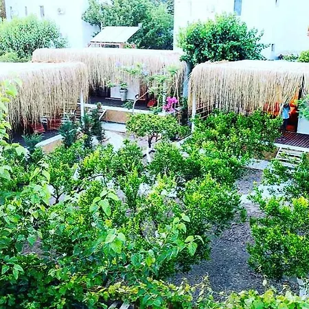 Lodge Podbodrum Tiny House Bodrum