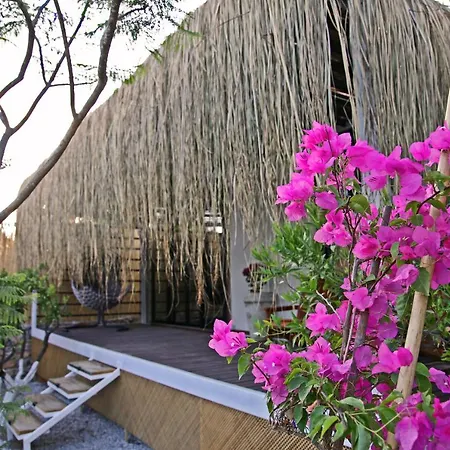 Podbodrum Tiny House *