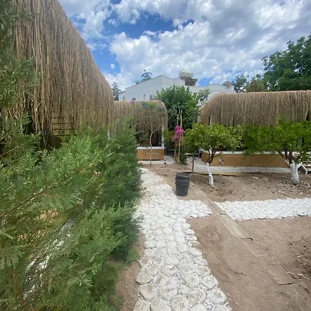 Podbodrum Tiny House Деревянный коттедж *
